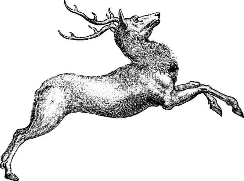 鹿のイラスト画像