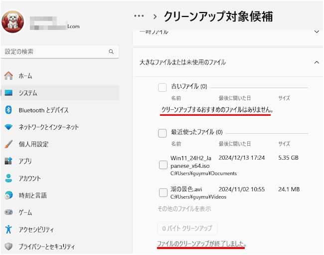 クリーンアップ対象候補画面