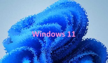Windows 11の エクスプローラーで、ファイルの拡張子や隠しファイルを表示するには？