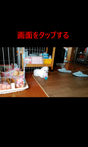 Googleフォトの使い方画面