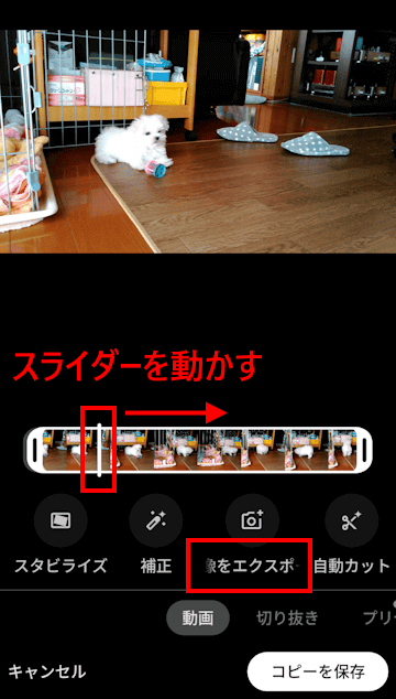 Googleフォトの使い方画面