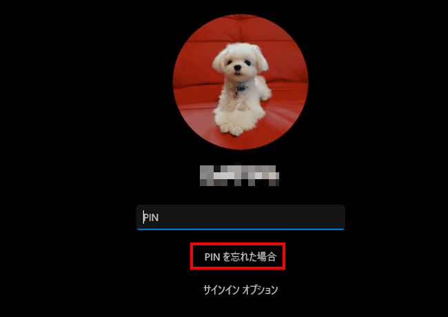 Windows11のPIN設定画面