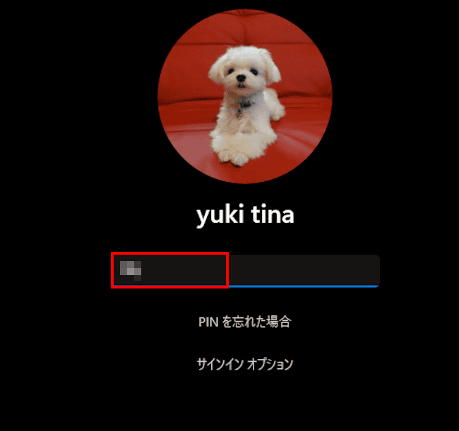 Windows11のPIN入力画面