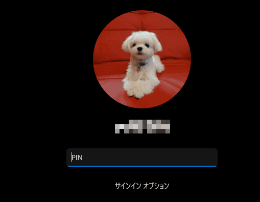 Windows11のセーフモード起動画面