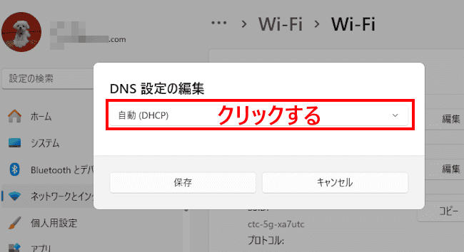 Windows11のDNS設定画面