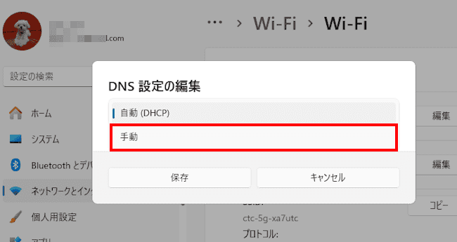 Windows11のDNS設定画面