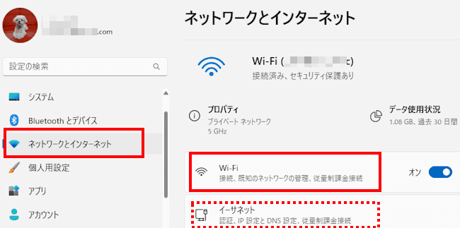 Wi-Fi1のDNS設定画面