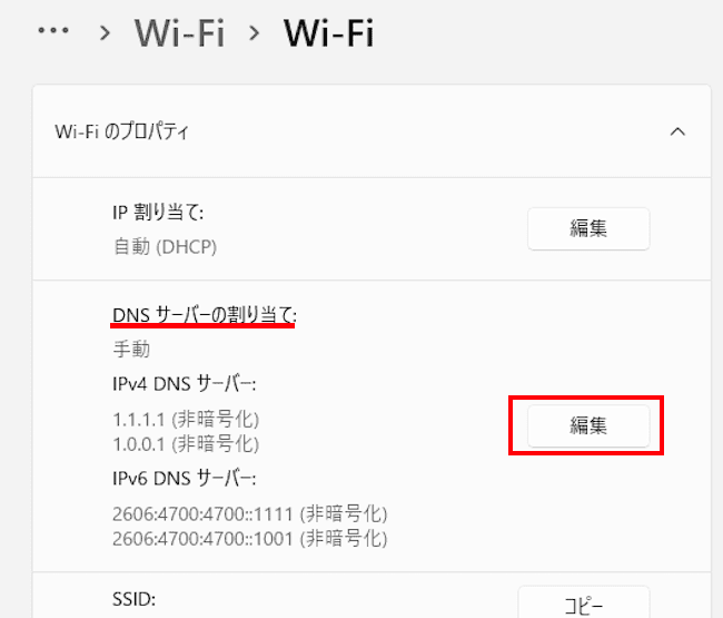 Windows11のDNS設定画面