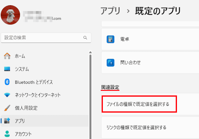 ファイルの関連付けを変更する設定画面