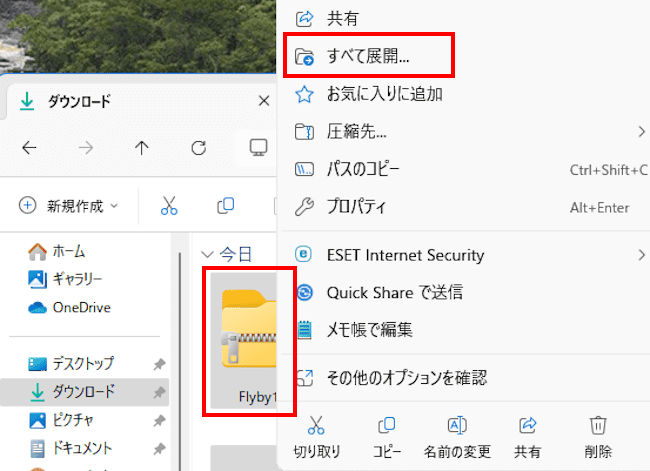 Flyby11のダウンロード画面
