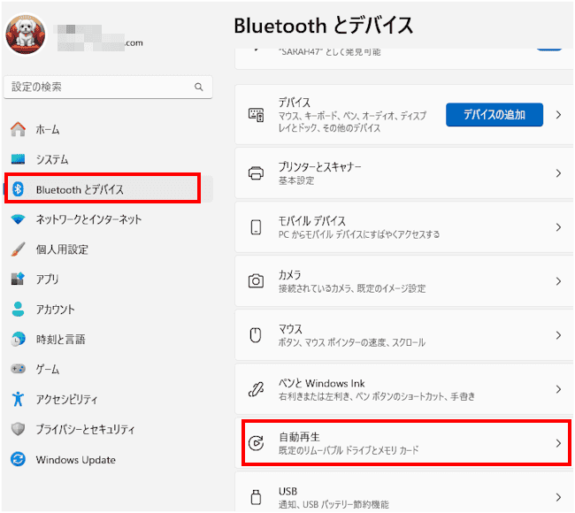 Windows11のUSBメモリー設定画面