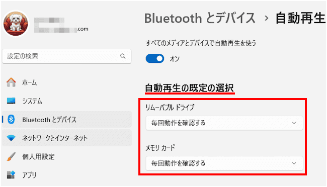 Windows11のUSBメモリー設定画面