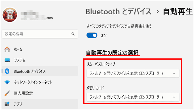 Windows11のUSBメモリー設定画面