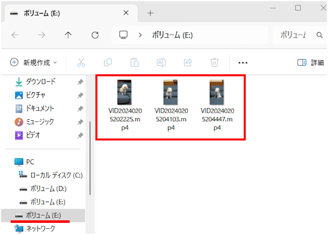 Windows11のUSBメモリー設定画面