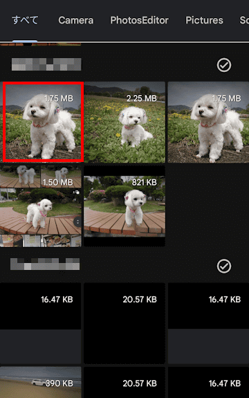 Files by Google の使い方画面