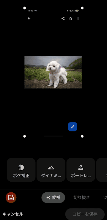 Files by Google の使い方画面