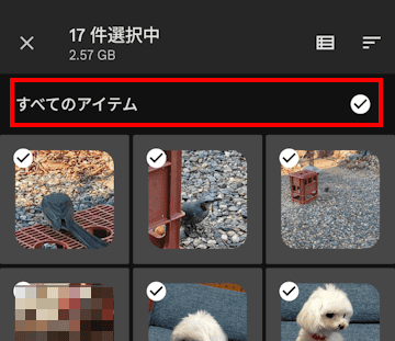 Files by Googleの使い方画面