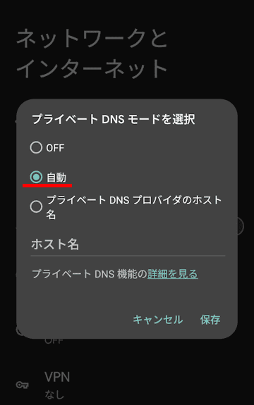 AndroidスマホのDNS設定画面