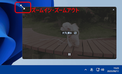 ピクチャインピクチャの設定画面