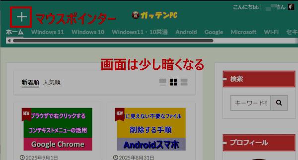 Snipping Toolの使い方画面