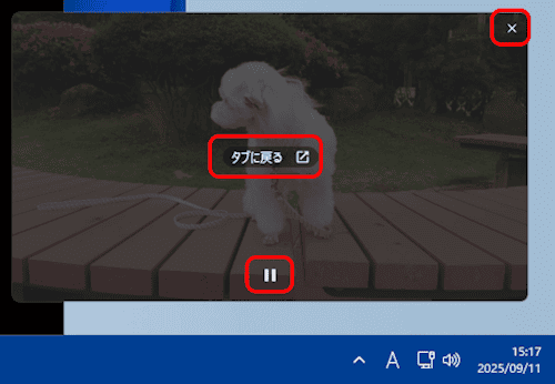ピクチャインピクチャの設定画面