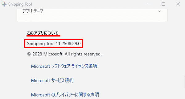 Snipping Toolの設定画面