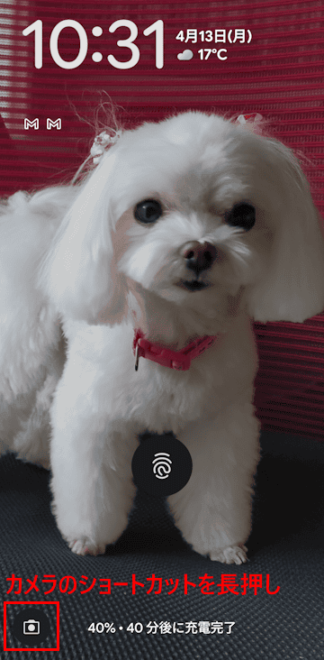 Androidスマホのカメラの定画面