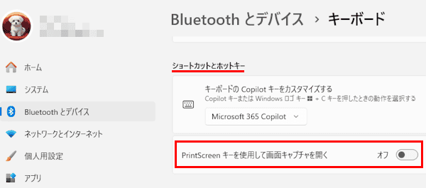 PrintScreenの設定画面
