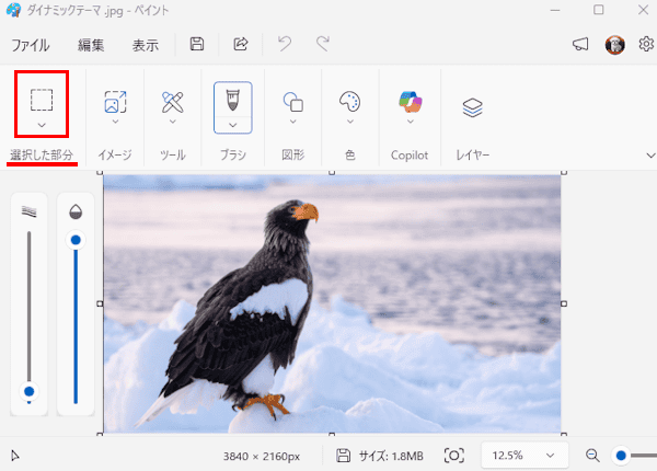ペイントによるアイコン作成画面
