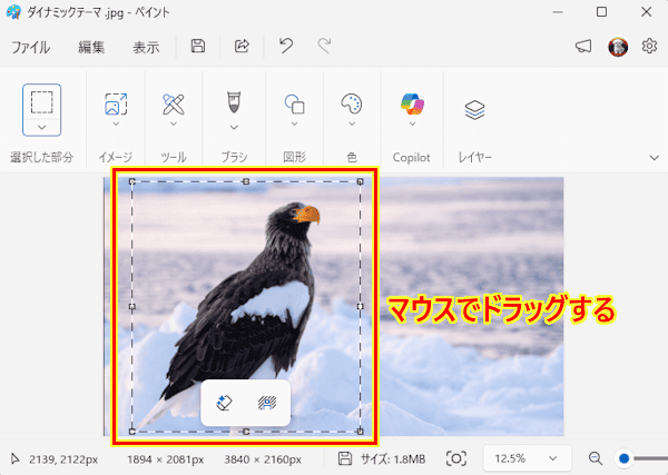 ペイントによるアイコン作成画面