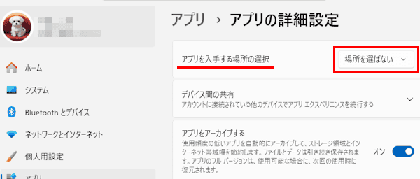 Windows 11のアプリ設定画面