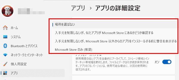Windows 11のアプリ設定画面