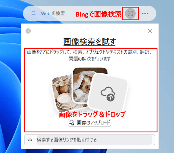 検索バーの使い方画面