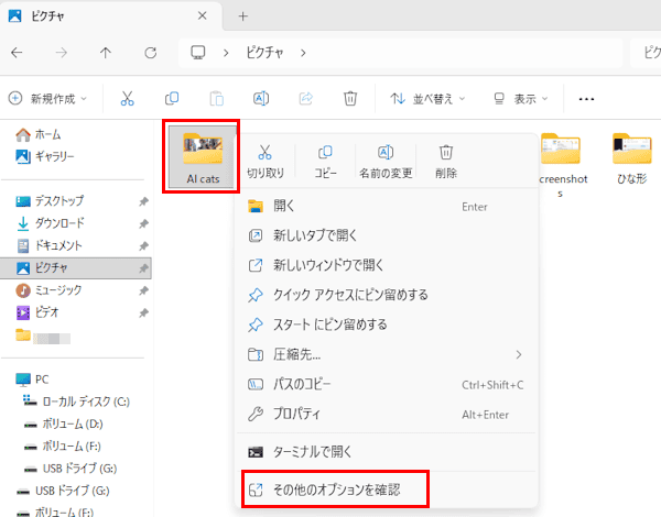 エクスプローラーでファイルを移動する画面