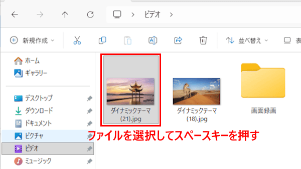 「QuickLook」の使い方画面